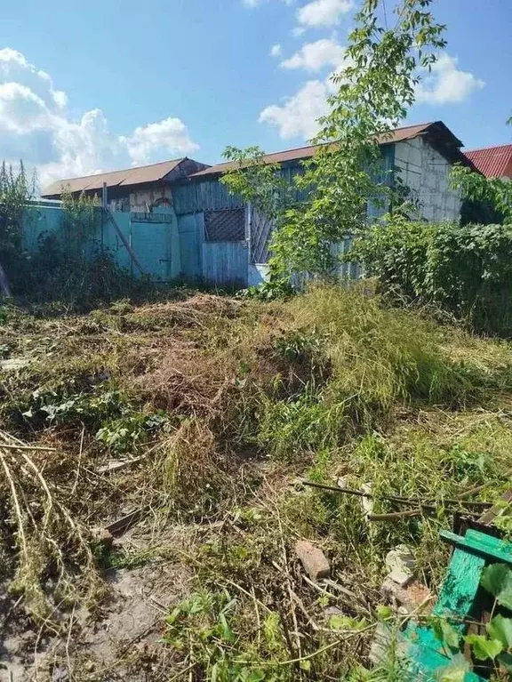 Участок в Курская область, Курский район, Моковский сельсовет, д. 1-я ... - Фото 2