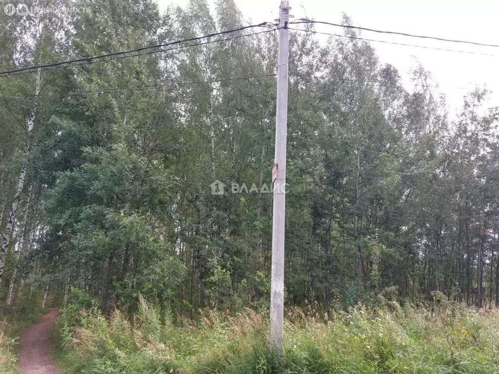 Участок в Владимир, Аграрная улица (7.45 м) - Фото 1
