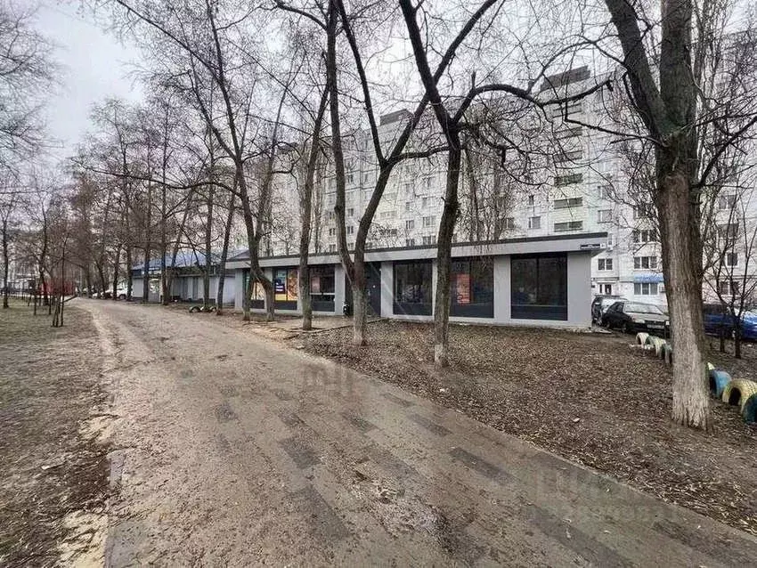 Торговая площадь в Воронежская область, Воронеж ул. Владимира ... - Фото 2