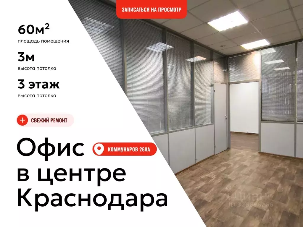 Офис в Краснодарский край, Краснодар Центральный мкр, ул. Коммунаров, ... - Фото 1