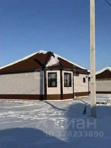 Дом в Амурская область, Белогорский муниципальный округ, с. Васильевка ... - Фото 1