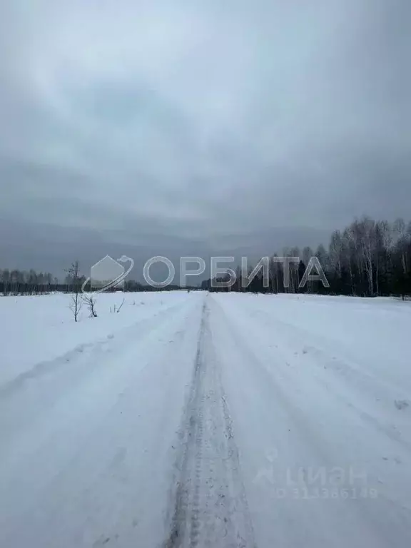 Участок в Тюменская область, Тюменский район, д. Марай  (9.85 сот.) - Фото 0