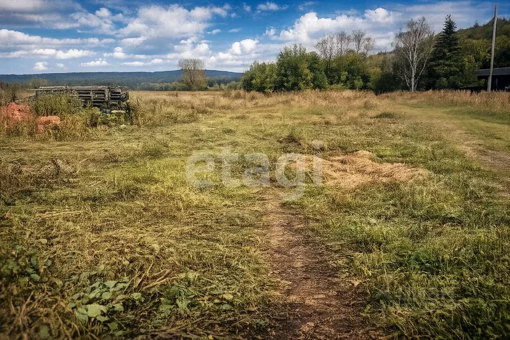 Участок в Новосибирская область, Маслянинский район, д. Новолушниково ... - Фото 2