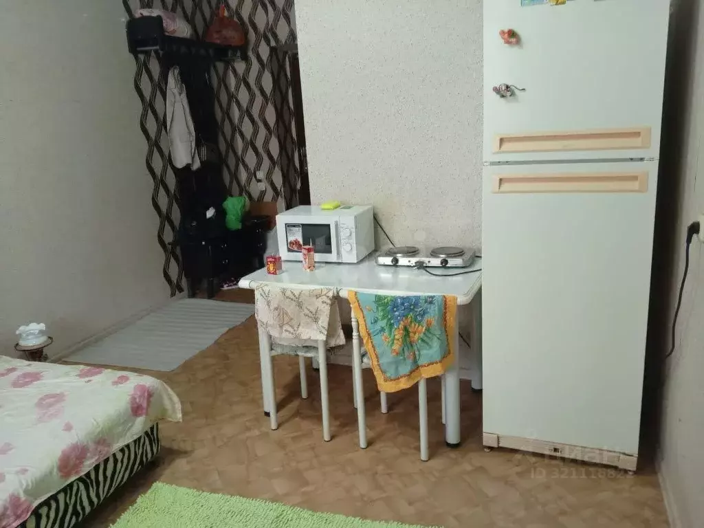 Студия Амурская область, Благовещенский район, с. Чигири Октябрьская ... - Фото 2