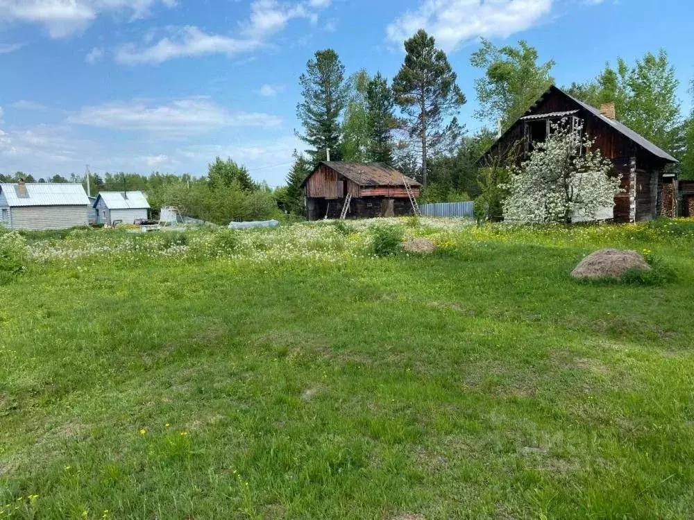 Участок в Иркутская область, Слюдянский район, Новоснежнинское ... - Фото 1