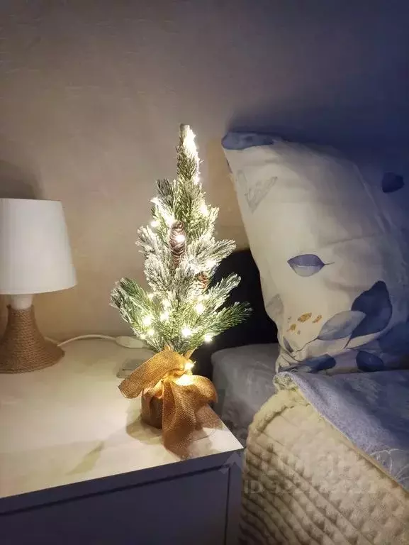 Студия Московская область, Истра муниципальный округ, д. Высоково ... - Фото 1