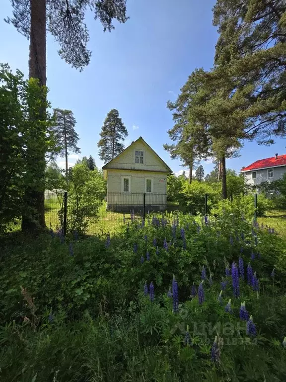 Дом в Ленинградская область, Гатчинский муниципальный округ, Вырица ... - Фото 1