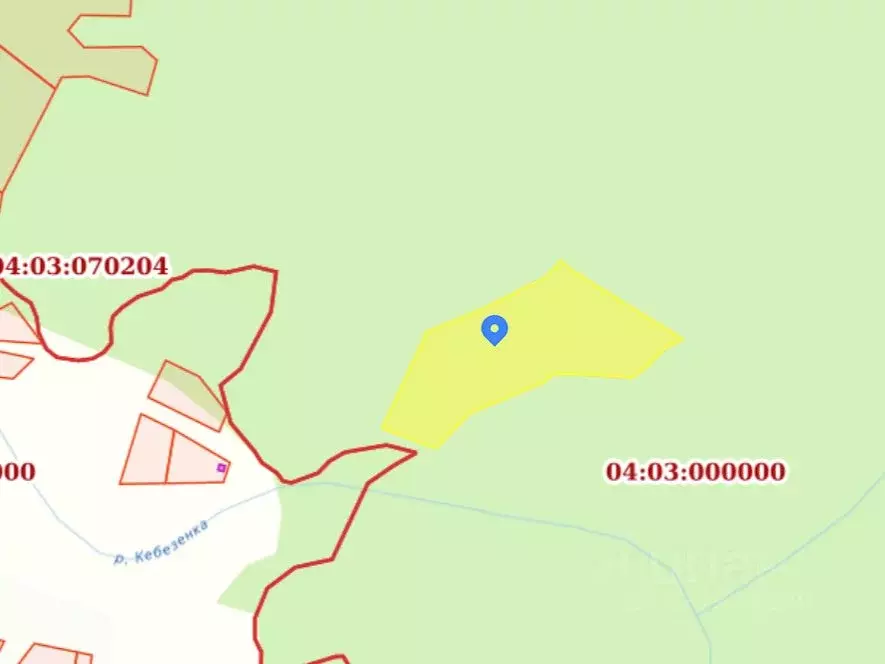 Участок в Алтай, Турочакский район, с. Кебезень  (250.0 сот.) - Фото 2