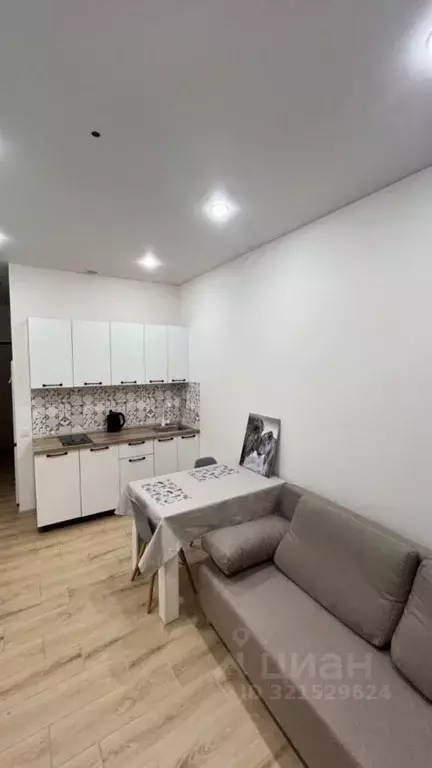 Студия Московская область, Одинцовский городской округ, Новоивановское ... - Фото 1