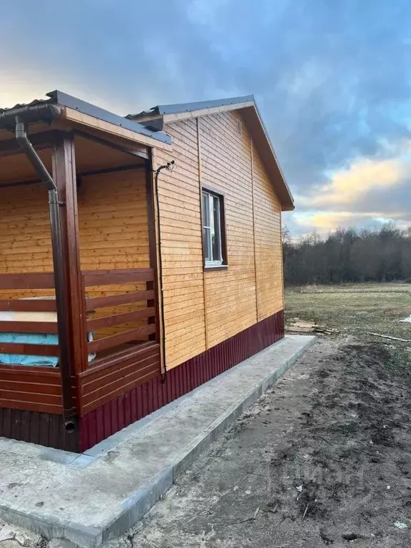 Дом в Воронежская область, Хохольский рп ул. Свободы, 132 (70 м) - Фото 2