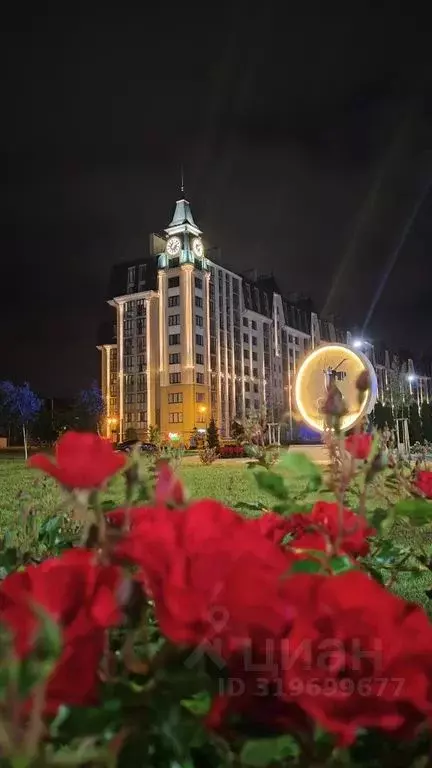 Студия Калининградская область, Зеленоградск ул. Автомобилистов, 9 ... - Фото 0
