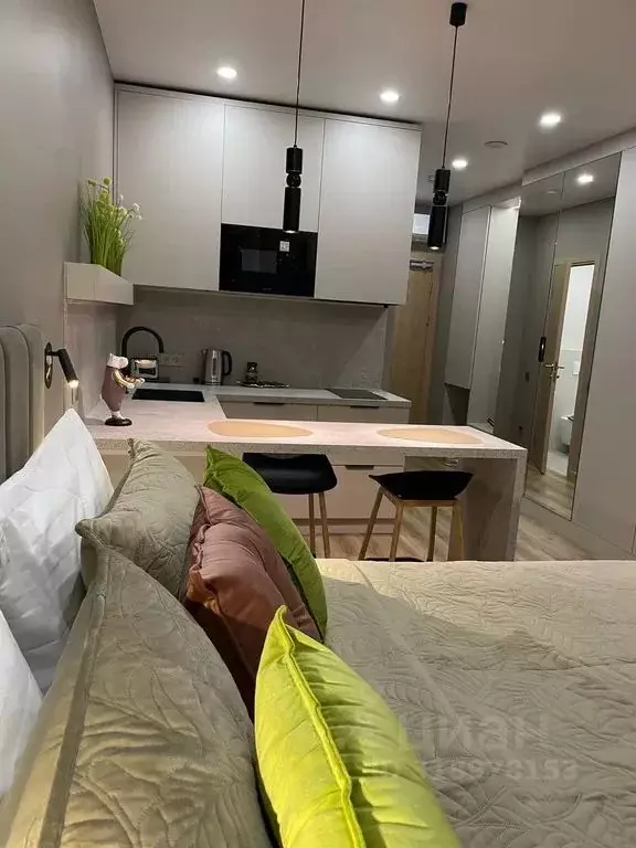 1-к кв. Санкт-Петербург бул. Измайловский, 1к2 (27.0 м) - Фото 1