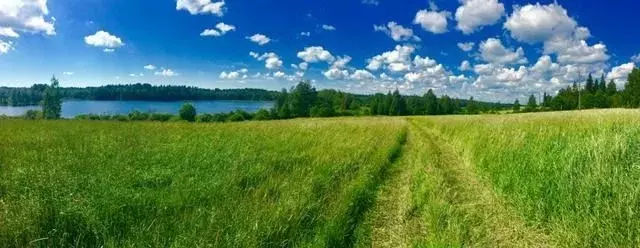 Участок в Ленинградская область, Выборгский район, Селезневское с/пос  ... - Фото 1