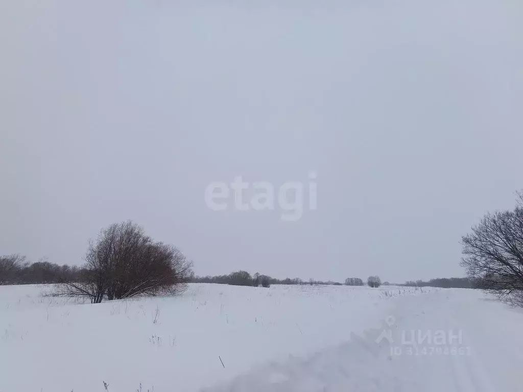 Участок в Архангельская область, Приморский муниципальный округ, д. ... - Фото 1