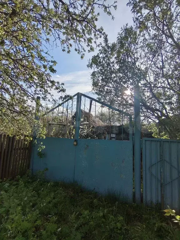 Дом 40 м на участке 25 сот. - Фото 0