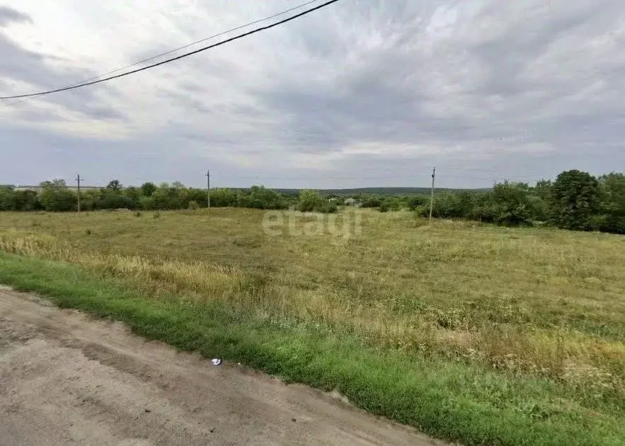 Участок в Воронежская область, Семилукский район, с. Губарево ул. ... - Фото 1