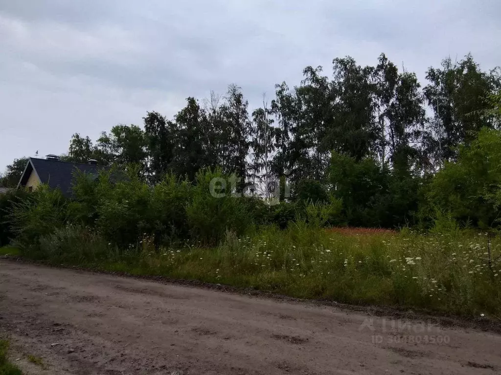 Участок в Воронежская область, Семилукский район, с. Девица Луговая ... - Фото 1