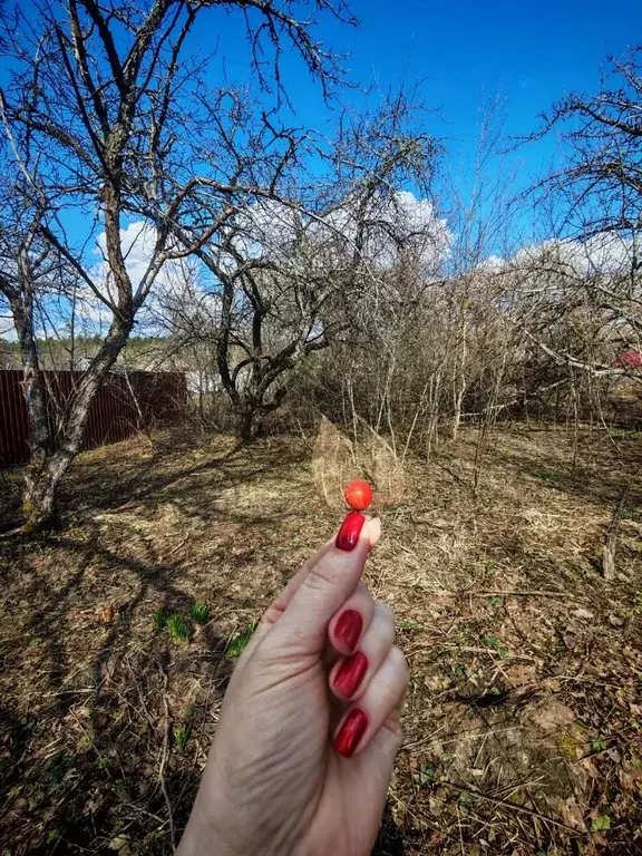 Участок в Мордовия, Саранск Охотник СНТ, проезд 5-й (5.0 сот.) - Фото 1