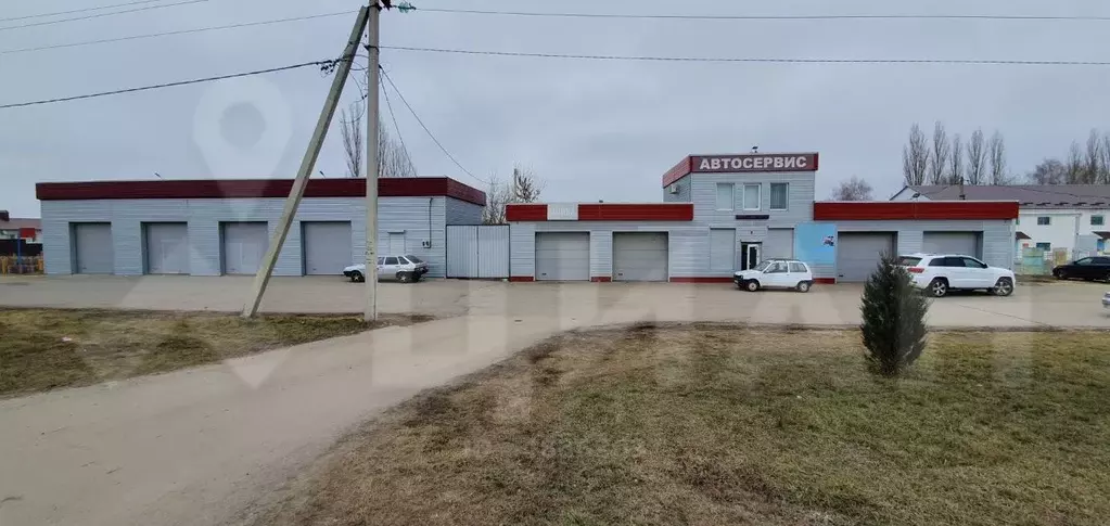 Сахара ул карла маркса 122в усмань фото