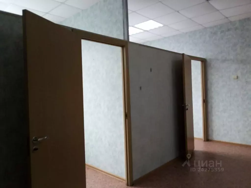 Офис в Новосибирская область, Новосибирский район, Краснообск рп ул. ... - Фото 1