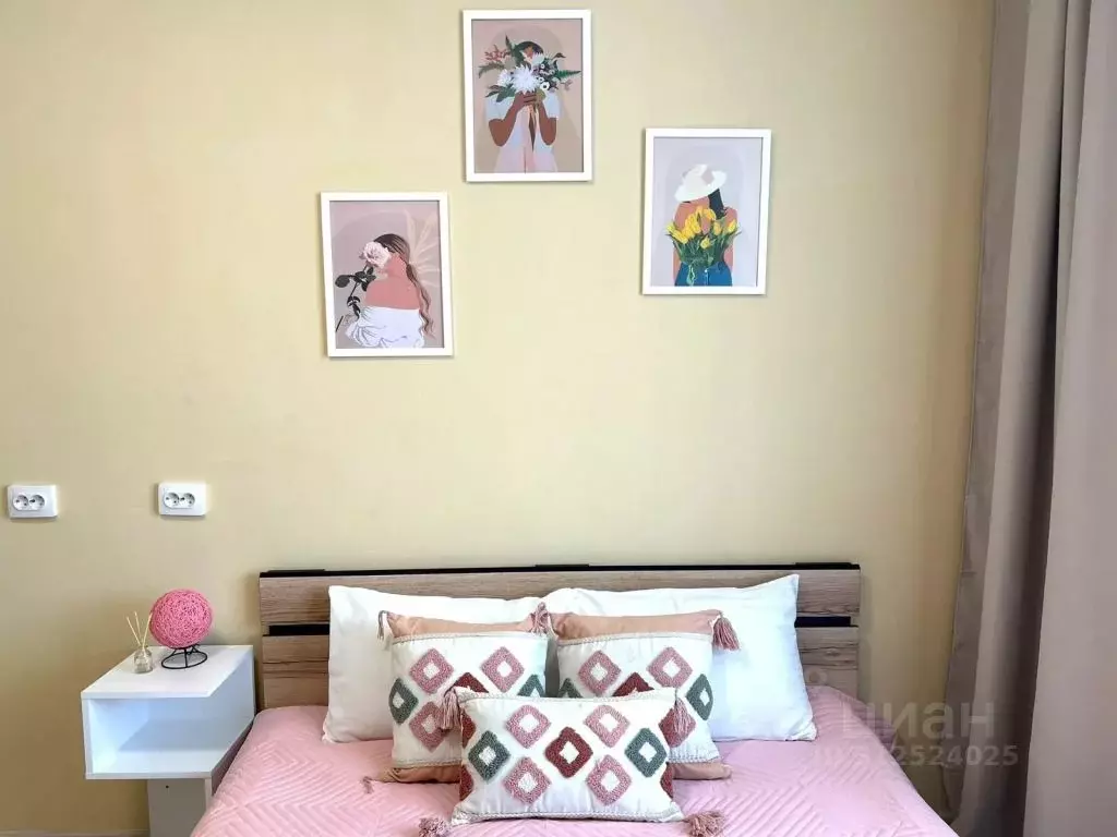 1-к кв. Красноярский край, Красноярск ул. Лесников, 51 (25.0 м) - Фото 1