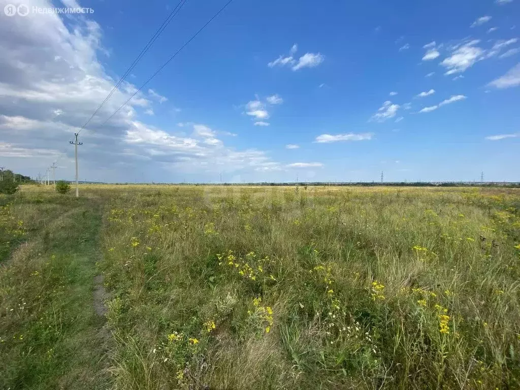 Участок в Ивнянский район, село Покровка (948.8 м) - Фото 1