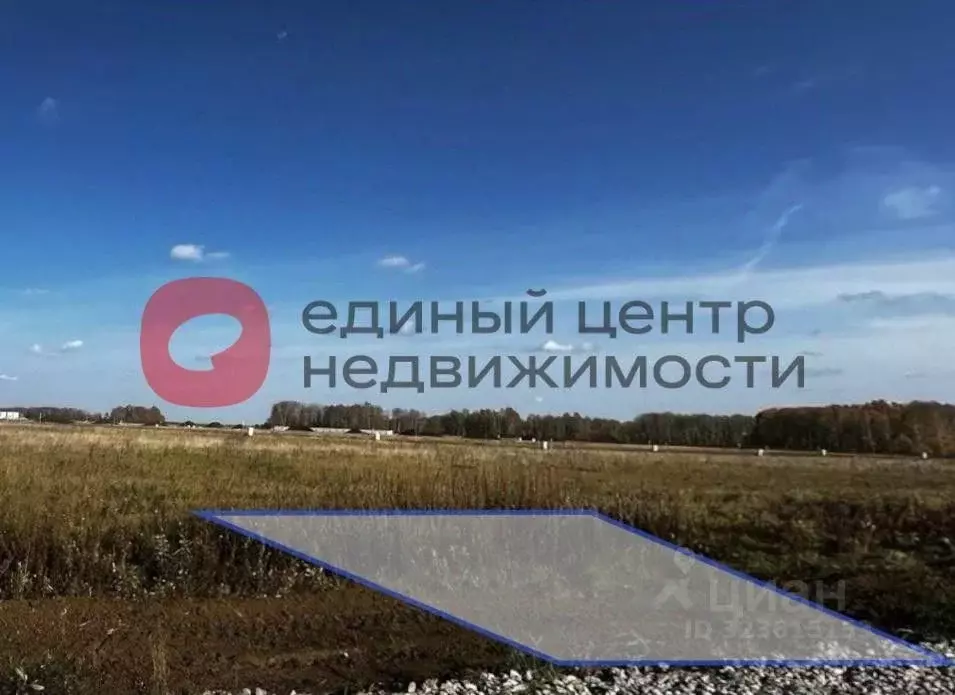 Участок в Тюменская область, Тюменский муниципальный округ, ... - Фото 1