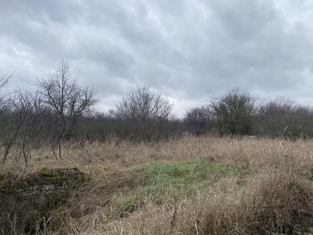 Участок в Ставропольский край, Шпаковский муниципальный округ, Демино ... - Фото 1