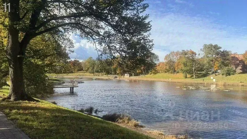 3-к кв. Калининградская область, Черняховск ул. Л. Толстого, 4 (62.0 ... - Фото 2