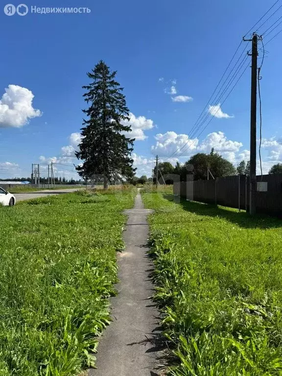 Участок в Волосовский район, деревня Клопицы (38 м) - Фото 2