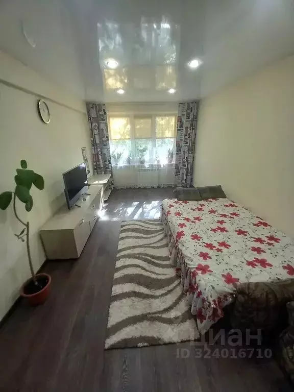 1-к кв. Алтайский край, Рубцовск Алтайская ул., 193 (31.0 м) - Фото 2