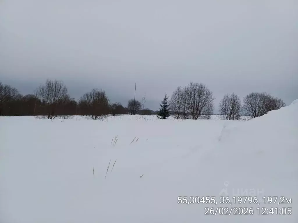 Участок в Московская область, Наро-Фоминский городской округ, д. ... - Фото 1