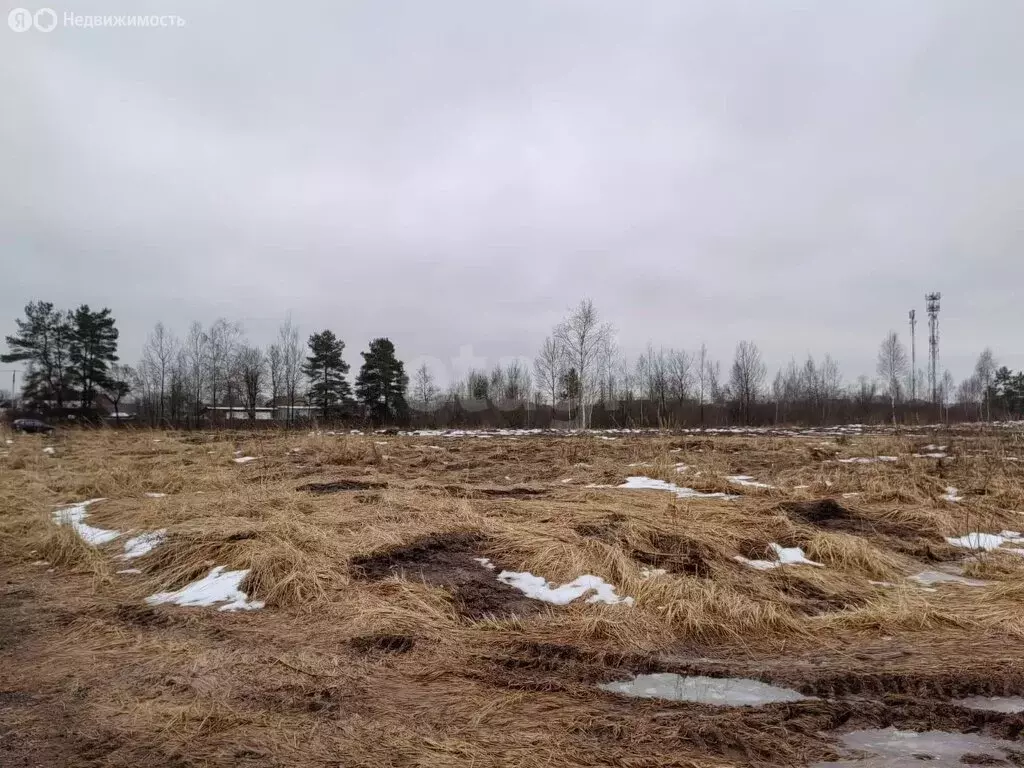 Участок в село Новоникольское (16.52 м) - Фото 1