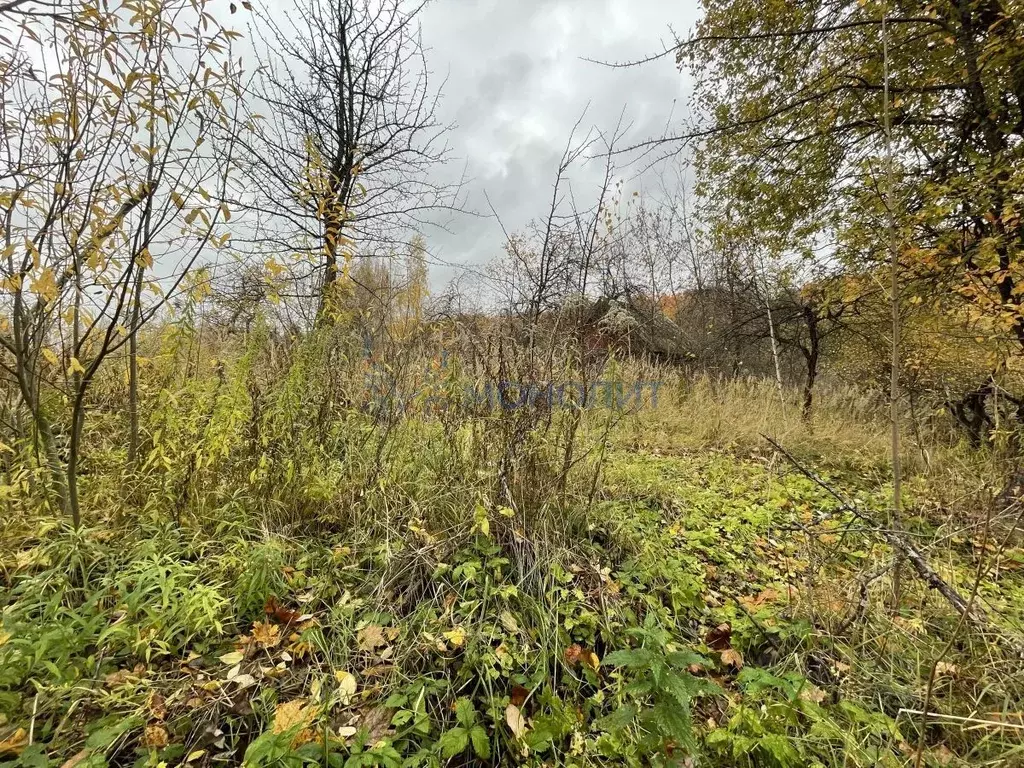 Участок в Нижегородская область, Нижний Новгород Дубрава СНТ, 41 (5.07 ... - Фото 1