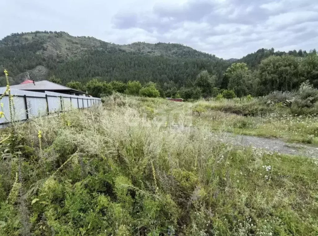 Участок в Алтай, Чемальский район, с. Чемал Чемальская ул. (15.0 сот.) - Фото 1