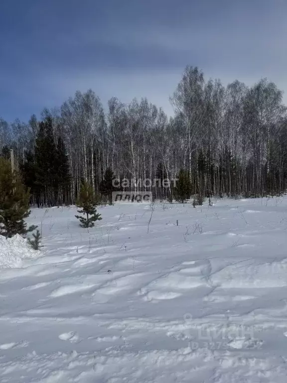 Участок в Челябинская область, Миасс Центральный территориальный ... - Фото 1