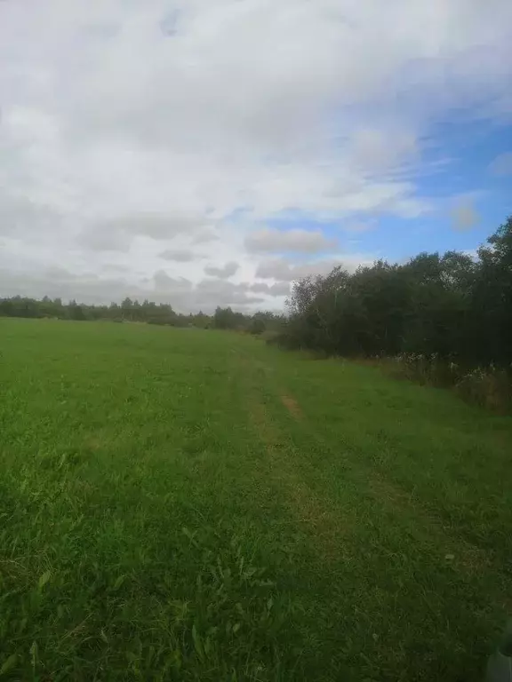 Участок, 1100 сот., сельхоз (снт или днп) - Фото 1