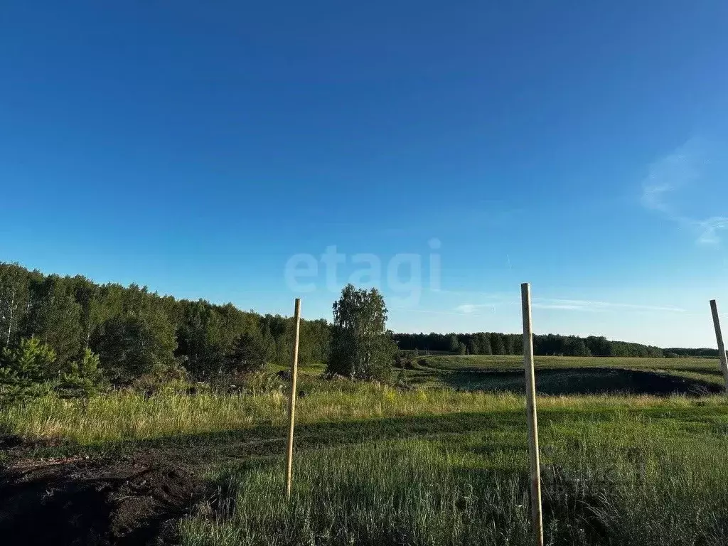 Участок в Тюменская область, Тюменский муниципальный округ, ... - Фото 1