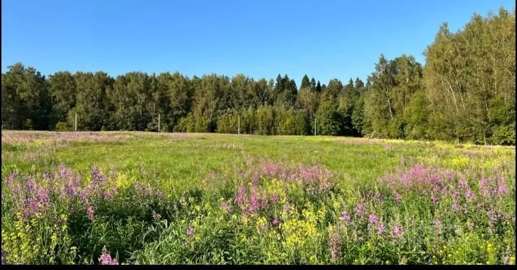 Участок в Московская область, Мытищи городской округ, д. Фелисово, ... - Фото 0
