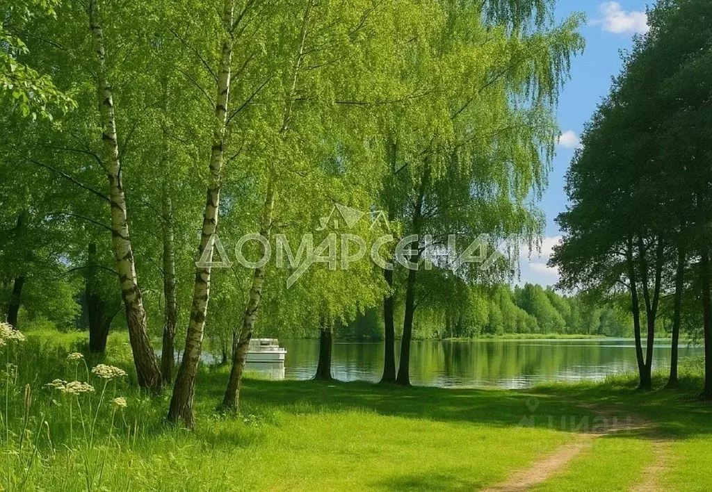 Участок в Тверская область, Конаковский муниципальный округ, ДП ... - Фото 1