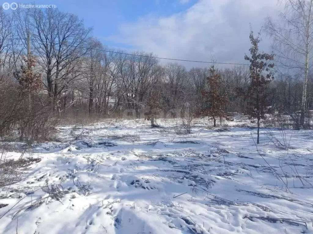 Участок в Брянск, СНТ Родничок (6.3 м) - Фото 1