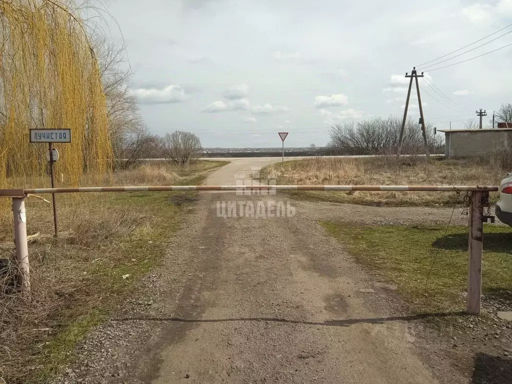 Участок в Воронежская область, Каширский район, Боевское с/пос, ... - Фото 1
