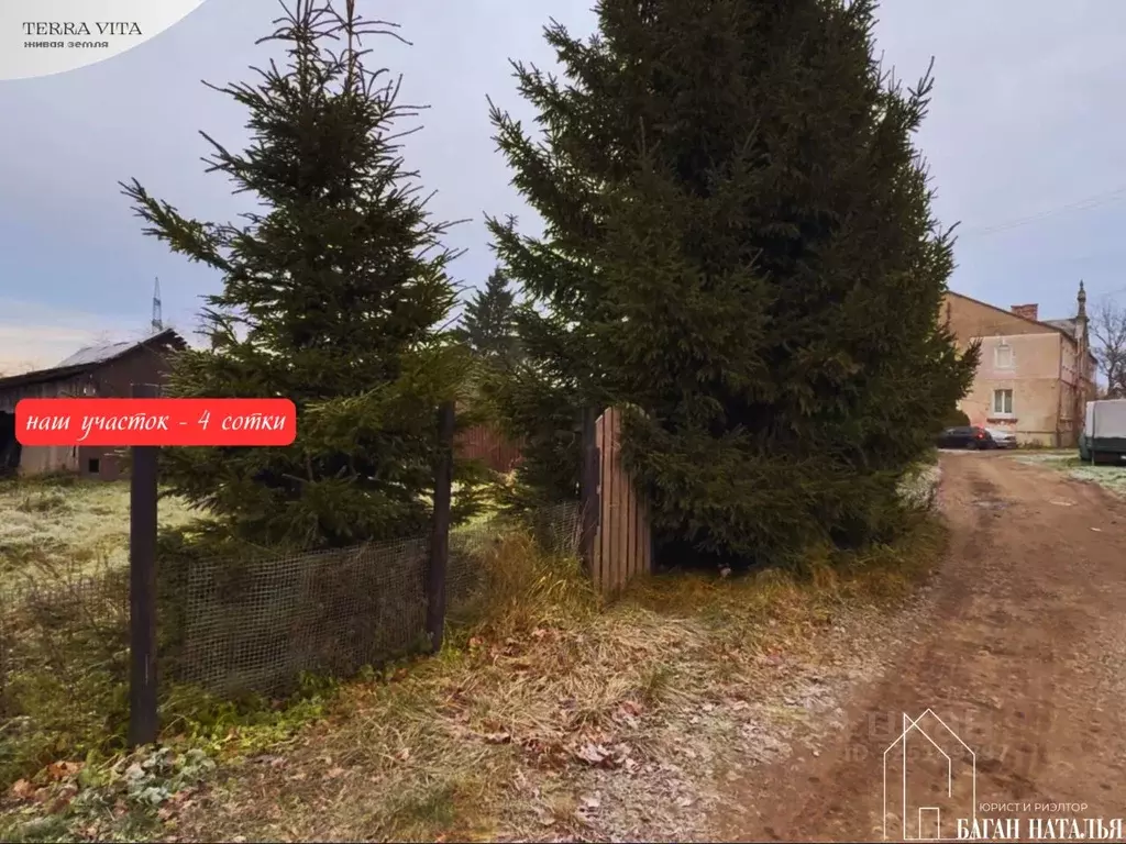 Участок в Калининградская область, Багратионовский муниципальный ... - Фото 1