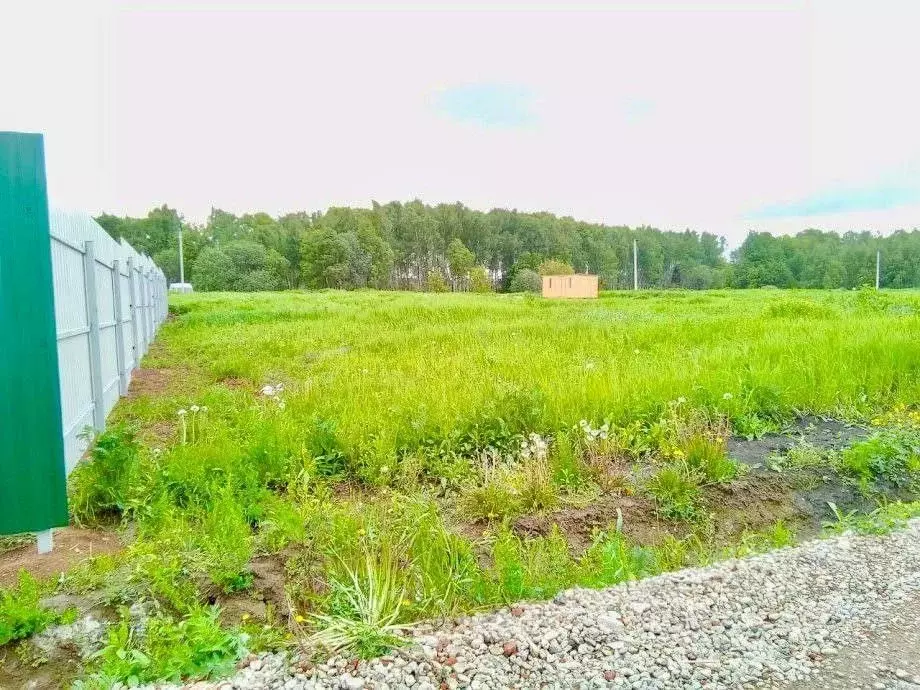 Участок в Московская область, Дмитровский муниципальный округ, д. ... - Фото 1