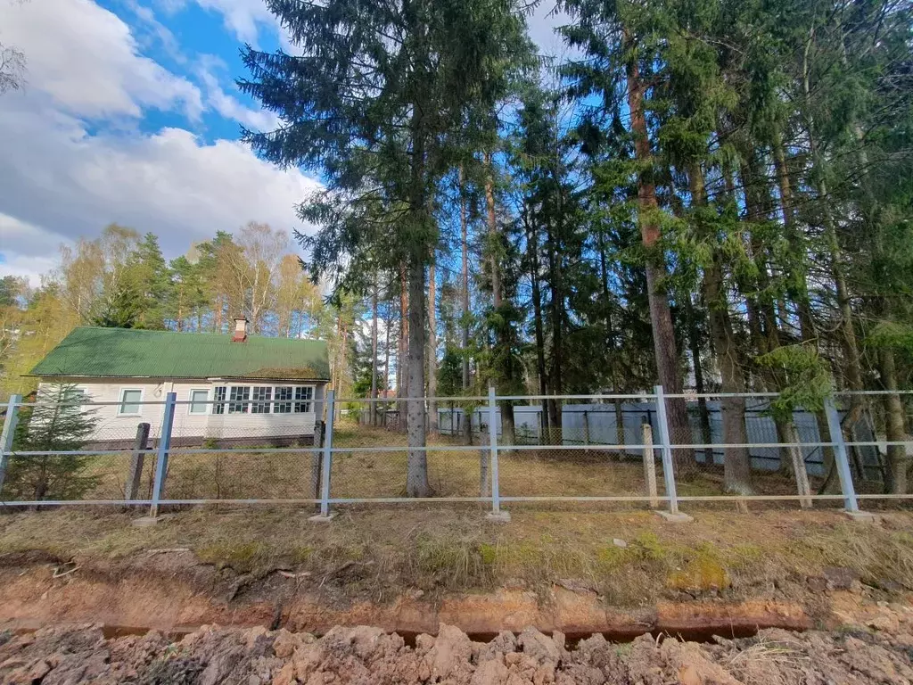 Участок в Ленинградская область, Гатчинский район, Вырица городской ... - Фото 1