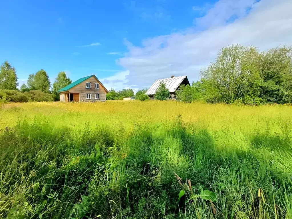 Дом в Псковская область, Плюсский муниципальный округ, д. Утичье ул. ... - Фото 2