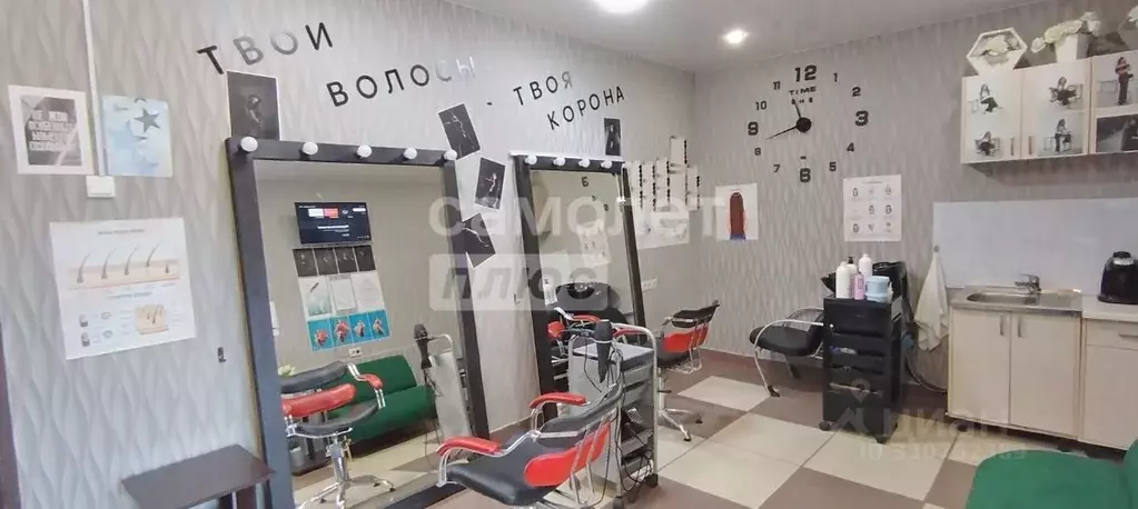 Офис в Вологодская область, Вологда Ярославская ул., 25А (18 м) - Фото 2