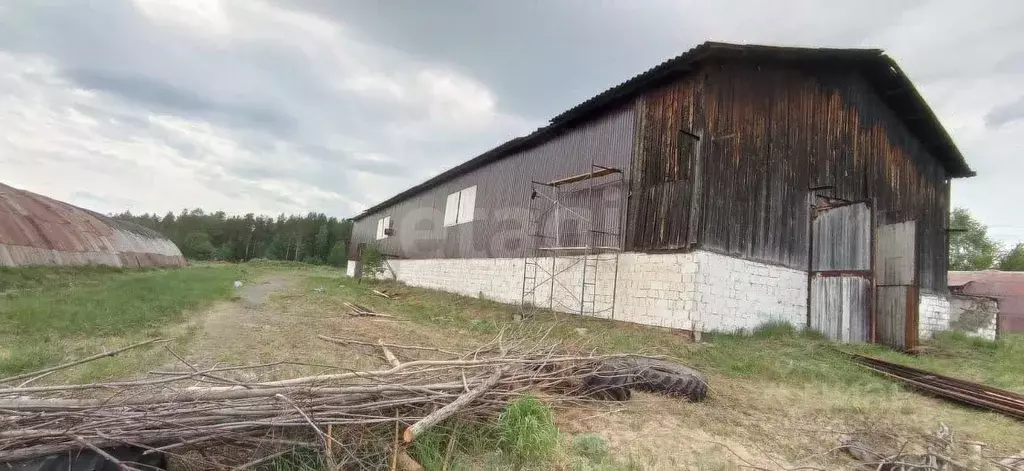 Склад в Свердловская область, Горноуральский муниципальный округ, пос. ... - Фото 2