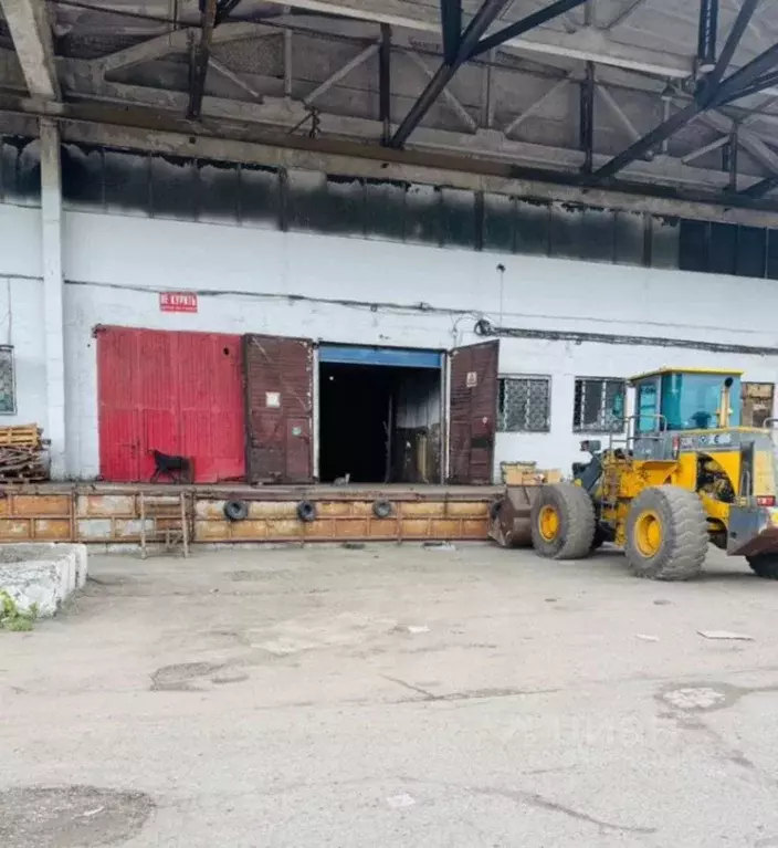 Помещение свободного назначения в Москва д. Толстопальцево, ул. ... - Фото 1