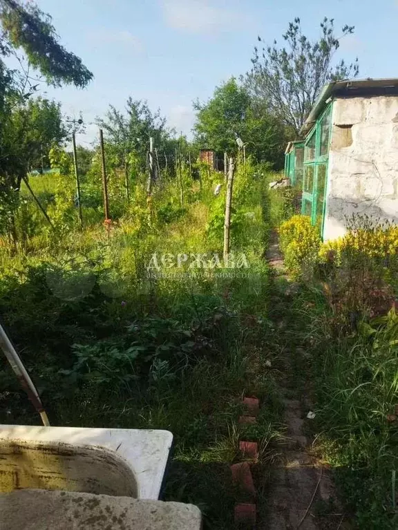 Дача 36 м на участке 9 сот. - Фото 1